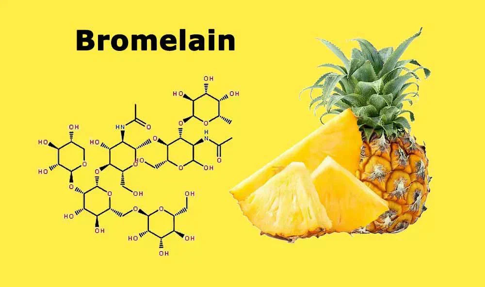 Where Healing Meets Precision: Bromelain in Action