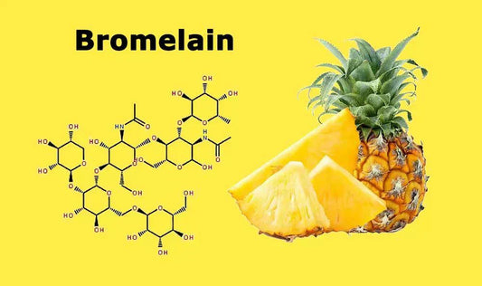 Where Healing Meets Precision: Bromelain in Action