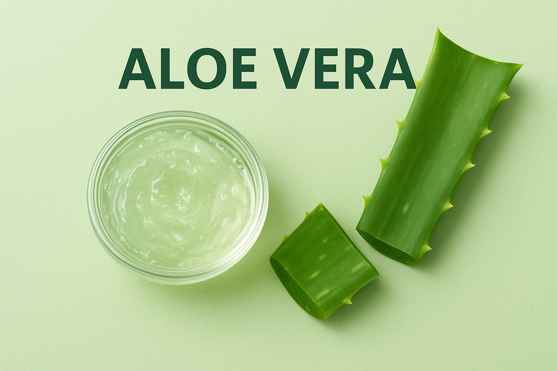 More Than Skin Deep: How Aloe Vera Enhances Pain Relief Creams