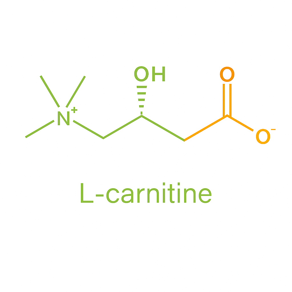 L-Carnitine in Topical Pain Cream: A Natural Support for Relief and Recovery