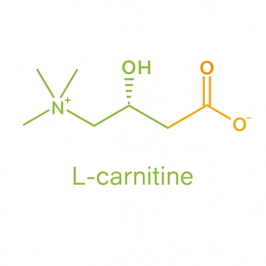 L-Carnitine in Topical Pain Cream: A Natural Support for Relief and Recovery