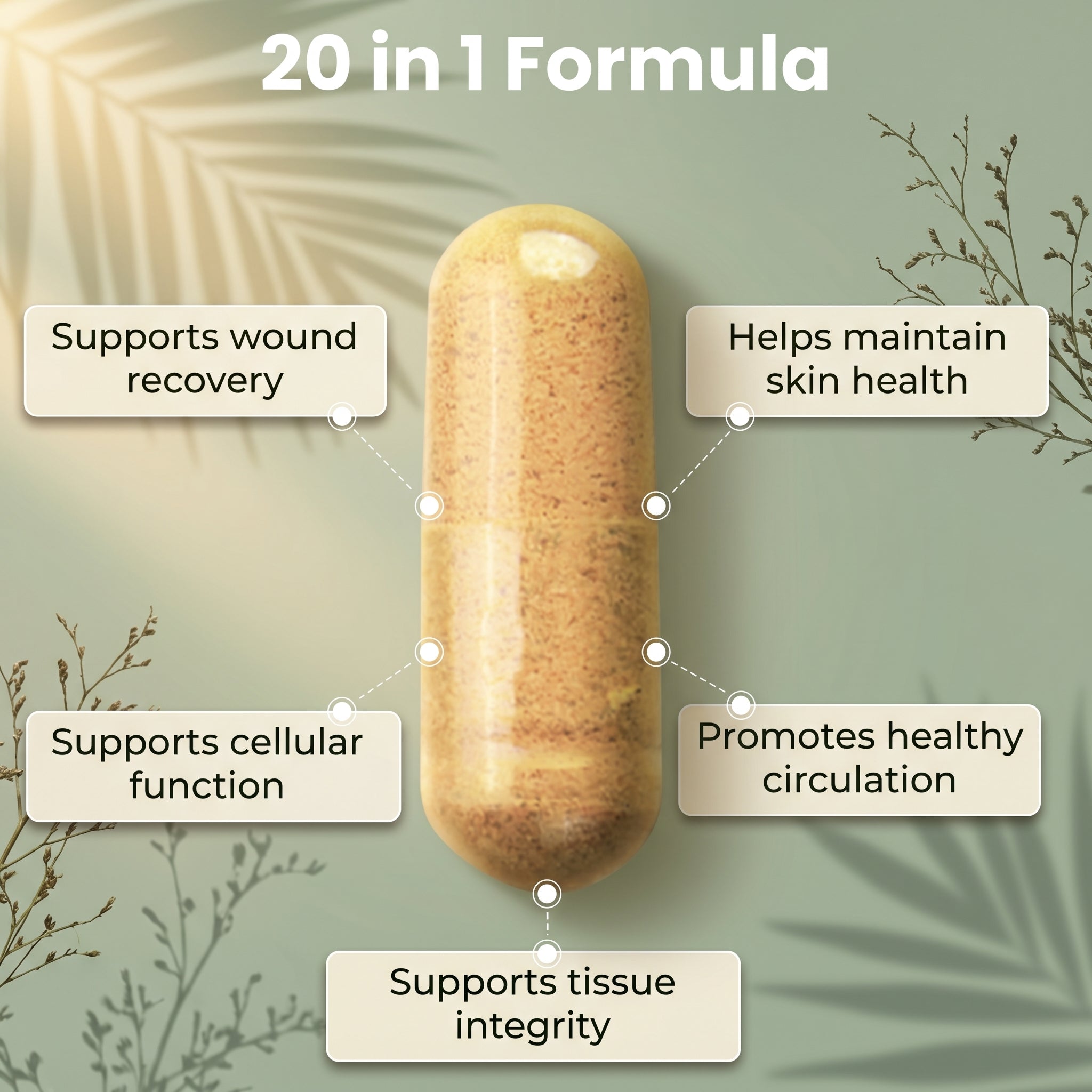 WoundWorx Surgery Supplement
