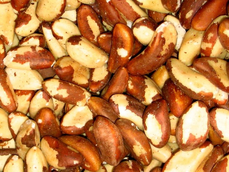 Brazil nuts — selenium food source