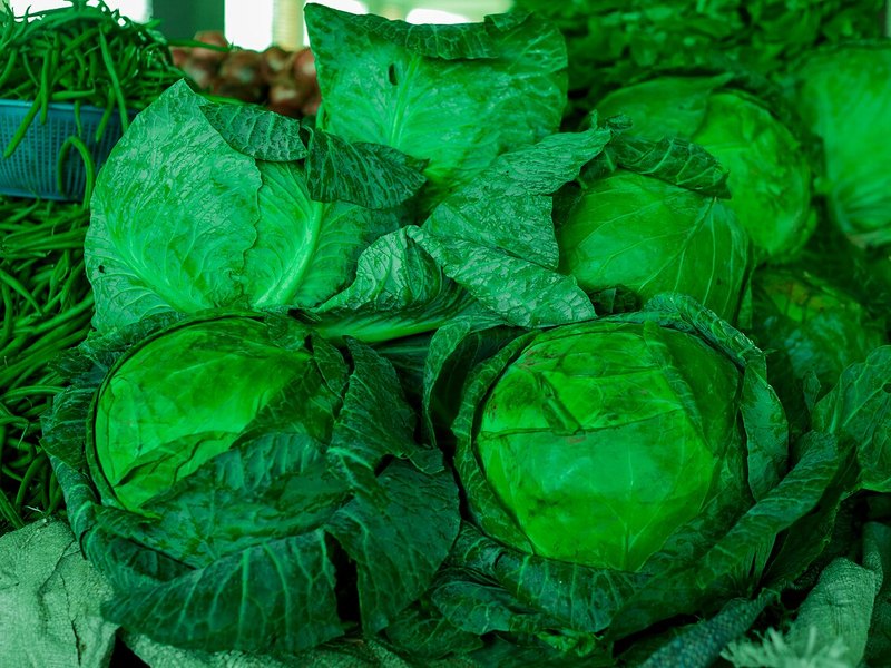 Cabbage — glutamine food source