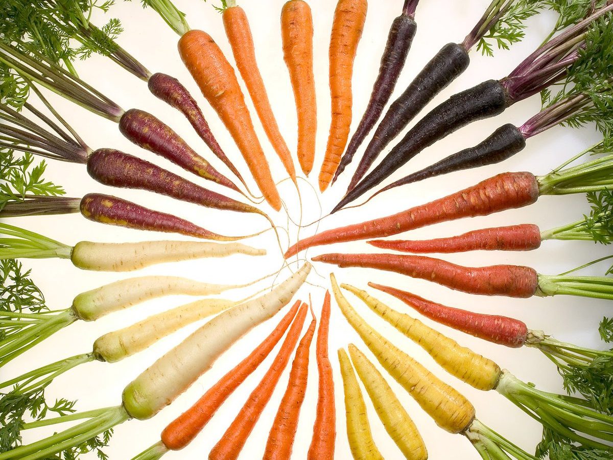 Carrots — beta-carotene source