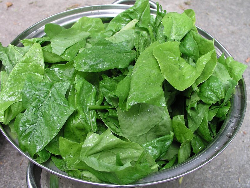 Spinach — folate food source
